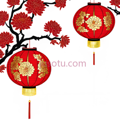 灯笼,菊花, PNG