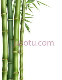 竹子,自然,绿色PNG