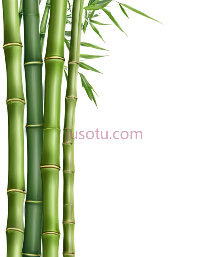 竹子,自然,绿色, PNG