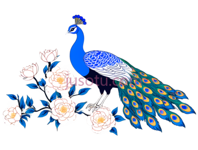 孔雀,牡丹, PNG