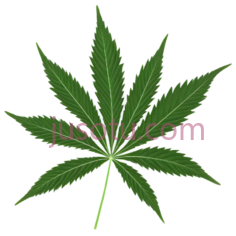 大麻叶, PNG