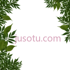 树叶,自然,绿色PNG