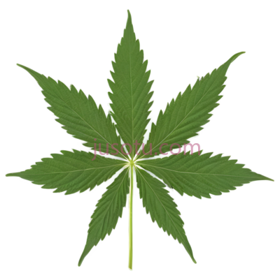 大麻叶,自然,绿色, PNG