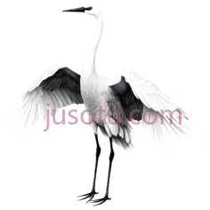 鹤,抽象,白色PNG