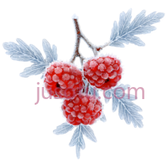 覆盆子,冰雕,红色PNG