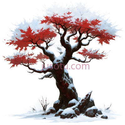 雪景,红枫树, PNG