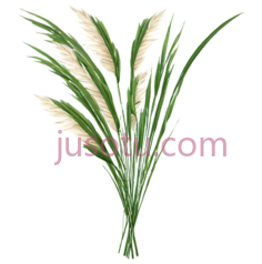 绿叶, PNG