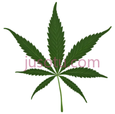 大麻叶PNG