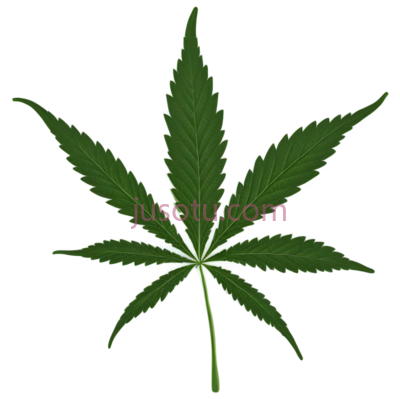大麻叶, PNG