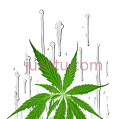 大麻叶,抽象喷溅,绿色,白色PNG