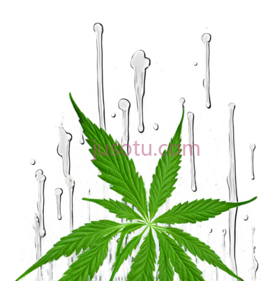 大麻叶,抽象喷溅,绿色,白色, PNG