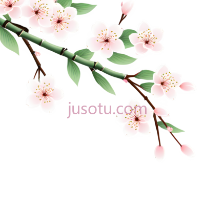 樱花粉色, PNG