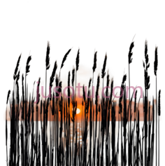 日落,抽象,橙色,黑色PNG