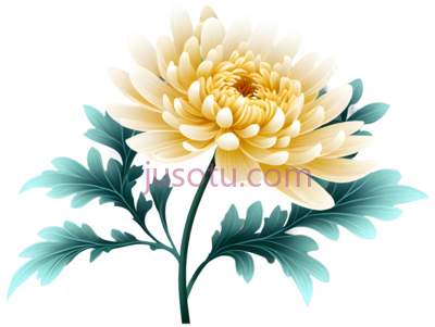 菊花,丝绸, PNG