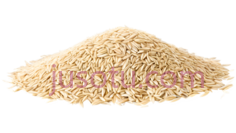 稻谷,一堆,黄色PNG