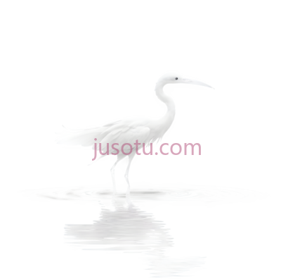 白鹭,白色, PNG