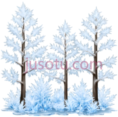 雪松,插画,白色,棕色PNG