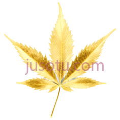 叶子,金色, PNG