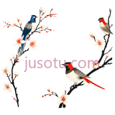 鸟,花,插画,白色,蓝色,红色,灰色PNG