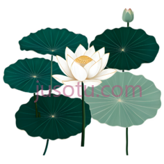 荷花,光亮翡翠色PNG