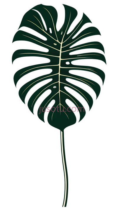 龟背竹叶, PNG