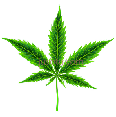 卡通大麻叶, PNG