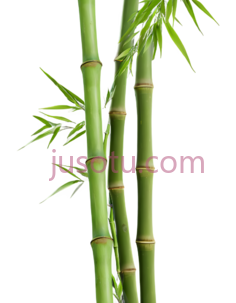 竹子,弯曲PNG