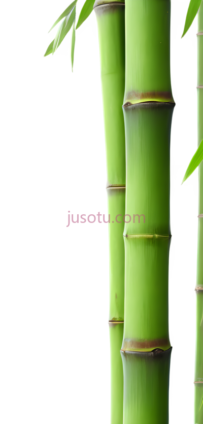 绿色竹子, PNG
