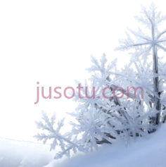 雪花,精致,复杂,白色PNG