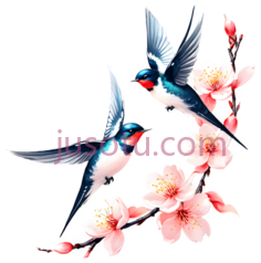燕子,花瓣PNG