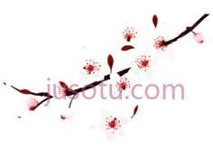 樱花瓣PNG