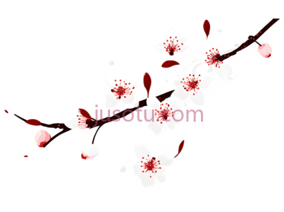 樱花瓣, PNG