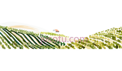 葡萄园,现代,绿色,白色, PNG