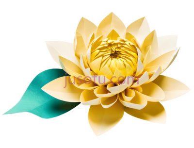 菊花,折纸,褶皱, PNG