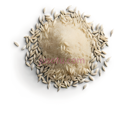 稻米, PNG