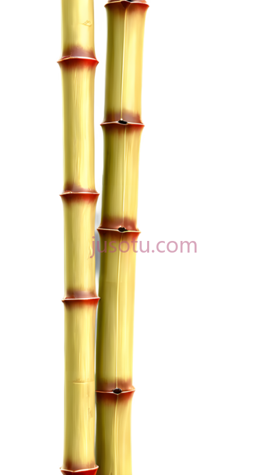 金色竹子, PNG