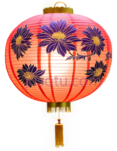 灯笼,菊花PNG