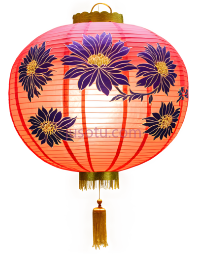 灯笼,菊花, PNG