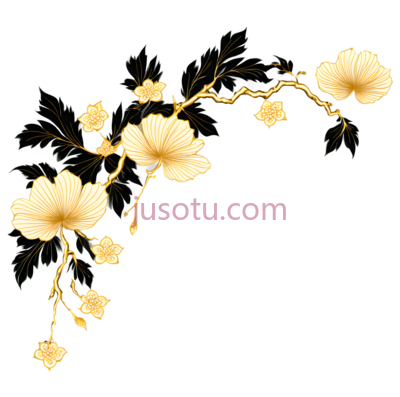 金花, PNG