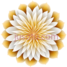 花朵,抽象,黄色,白色PNG