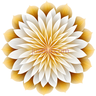 花朵,抽象,黄色,白色, PNG