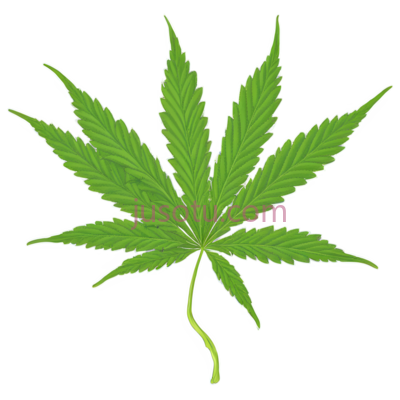 大麻叶, PNG