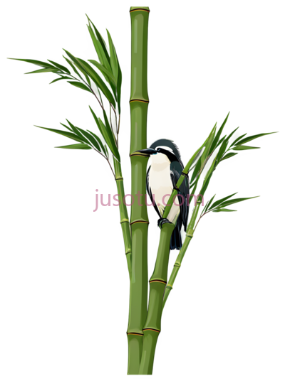 鸟,竹子, PNG