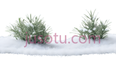 雪地植物,卡通,绿色PNG