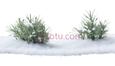 雪地植物,卡通,绿色, PNG