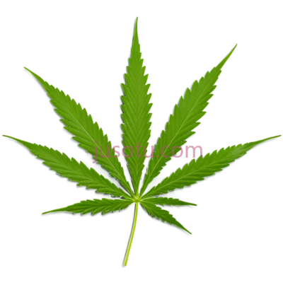 大麻植物, PNG