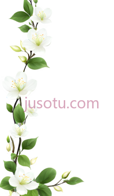 花朵,竖向排列,白色,绿色PNG