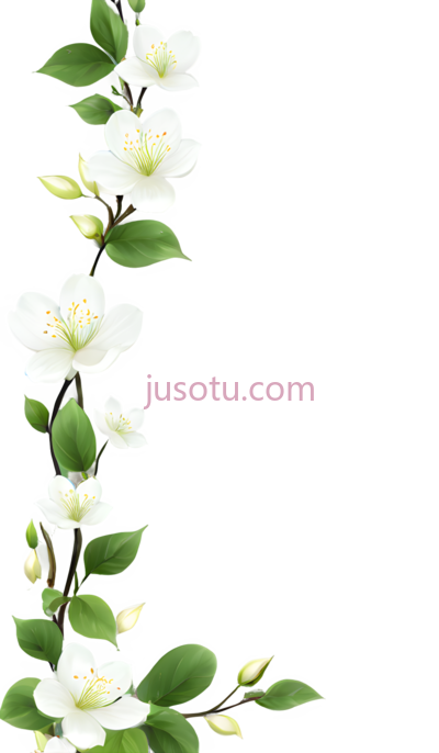 花朵,竖向排列,白色,绿色, PNG