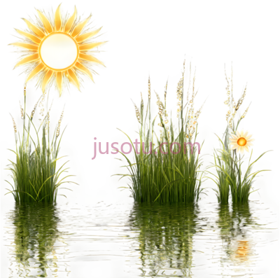太阳,草,花,插画,黄色,绿色,白色, PNG