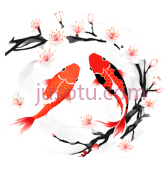 金鱼,樱花,插画,红色,白色PNG